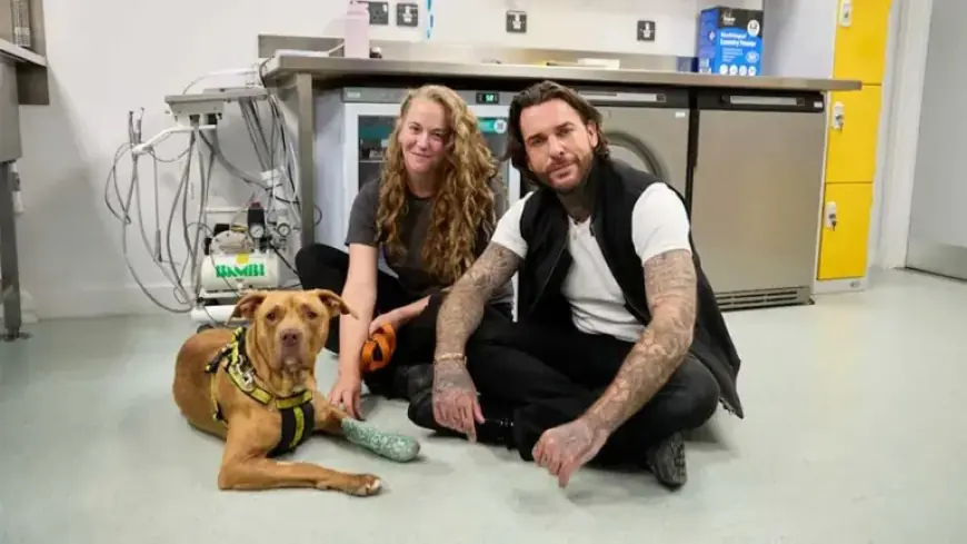 Pete Wicks’ ‘For Dogs’ Sake’ Premieres on U&W HD: Schedule & Details