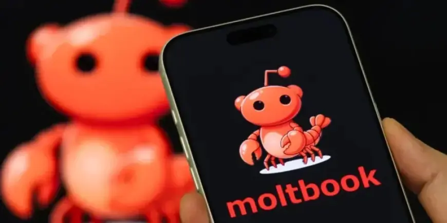 AI Experts Warn Against Moltbook: A ‘Disaster Waiting to Happen’