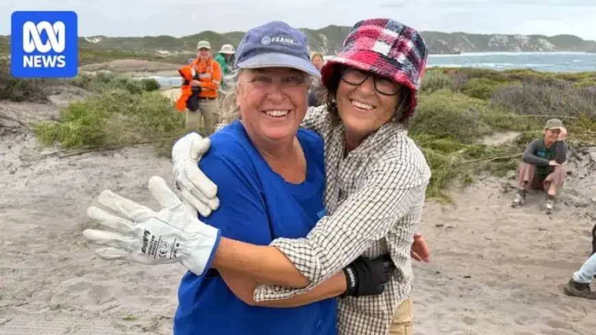 Friends of Boat Harbour Urge: “Stop Driving on Sand Dunes”