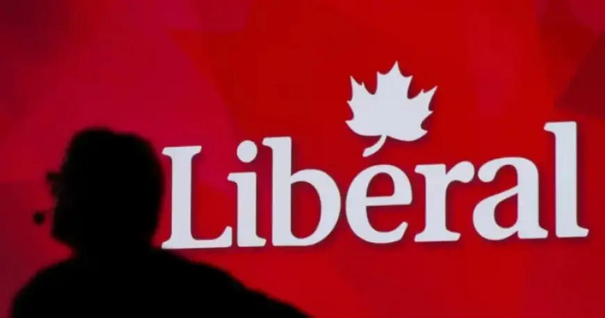 Danielle Martin Chosen as Liberal Candidate for Byelection in Freeland’s Former Riding