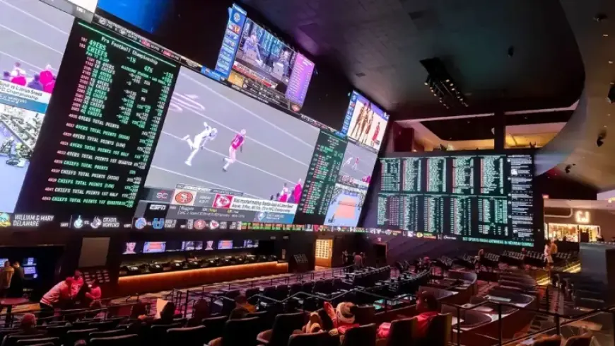 BetMGM Enforces Zero-Tolerance Policy on Athlete Harassment in Betting