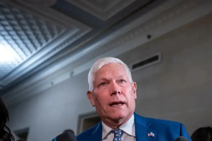 Texas Republican Claims Snowstorm Swung Election to Democrats