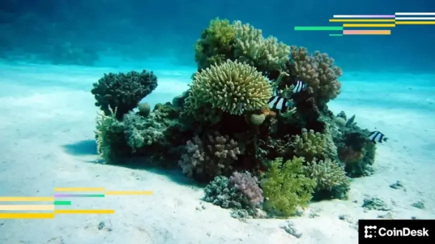 BTC Spot ETF Holders Facing Losses May Abandon Positions