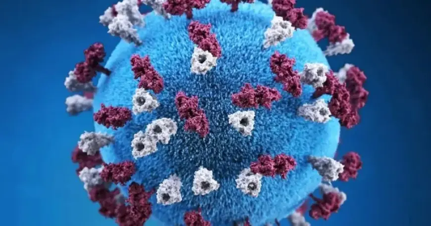 Shasta County Confirms Measles Case, Warns Public