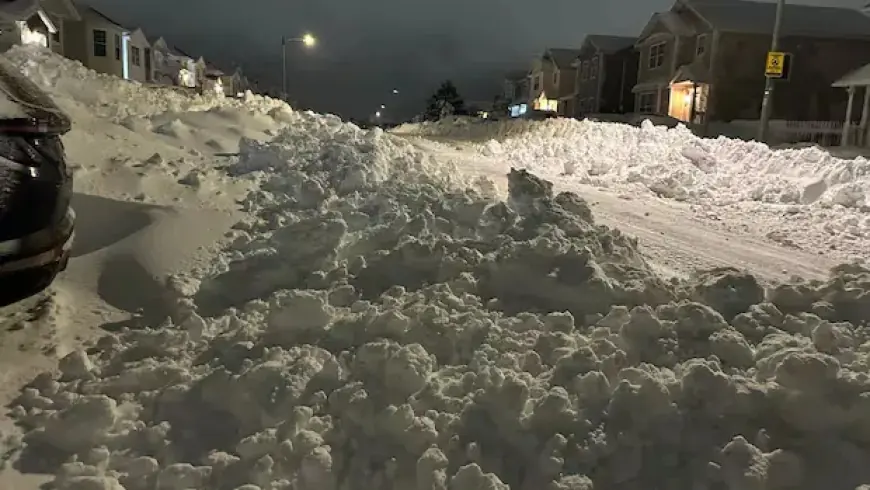 Newfoundland Schools Postpone Opening After Intense Storm Cleanup
