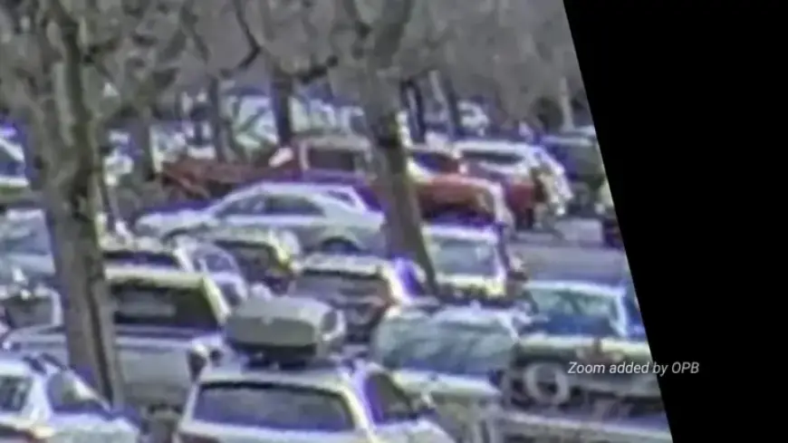 Border Patrol Shooting in Portland Captured from Afar: New Footage Released