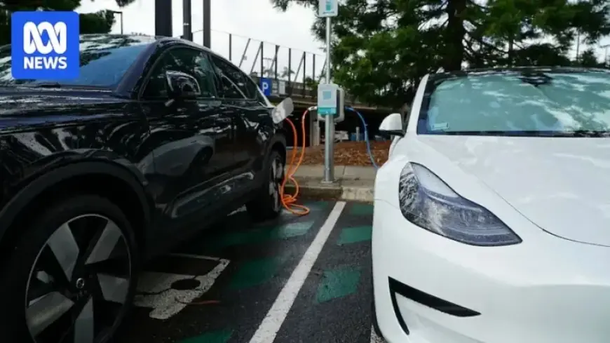 China Prohibits Hidden Car Door Handles Citing Safety Concerns