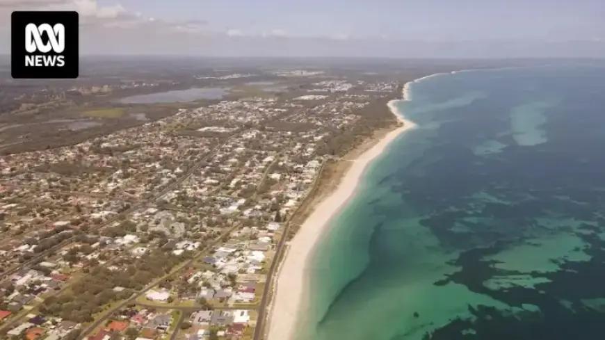 Boy Swims Four Hours to Rescue Family Swept Out to Sea