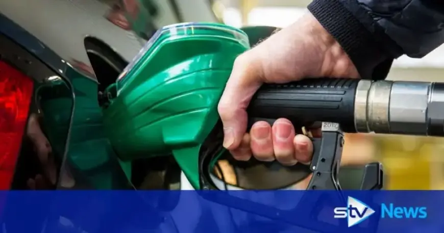 Compare Fuel Prices Easier: New Tool for All Petrol Stations