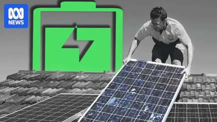 Fuel Subsidies Skyrocket Amid Surging Household Battery Demand