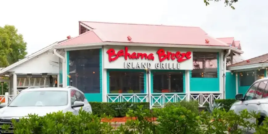 Olive Garden Parent Shutters Bahama Breeze After Prolonged Struggles
