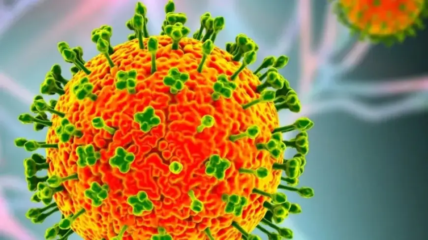 Asia Heightens Vigilance as Nipah Virus Claims Lives in India