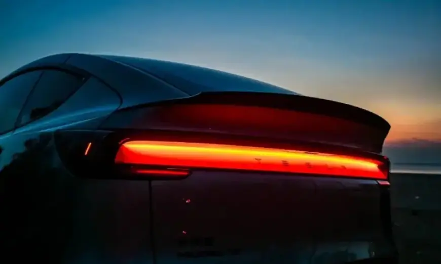 Tesla Bull Predicts Merger Odds Increase After Musk Confirms SpaceX-xAI Deal