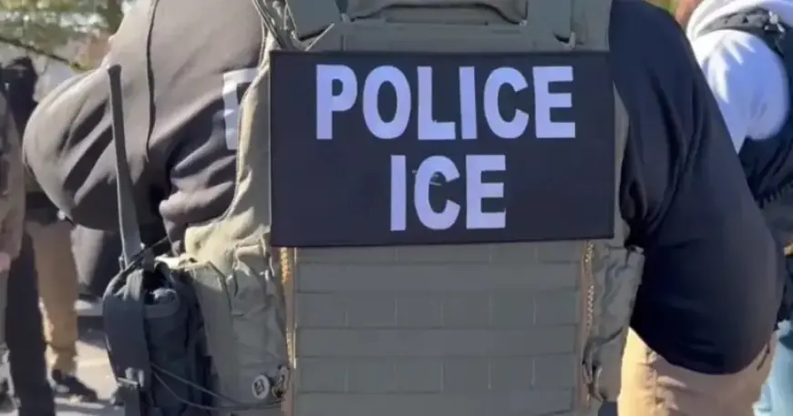 Federal Attorney Criticizes ICE Cases, Calling System Ineffective