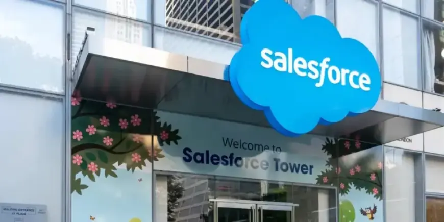 Software Stocks Plummet, Extending Historic Underperformance: What’s Next?