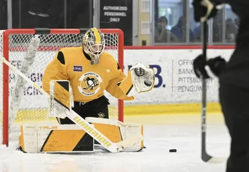 Penguins Terminate Goaltender Filip Larsson’s Contract