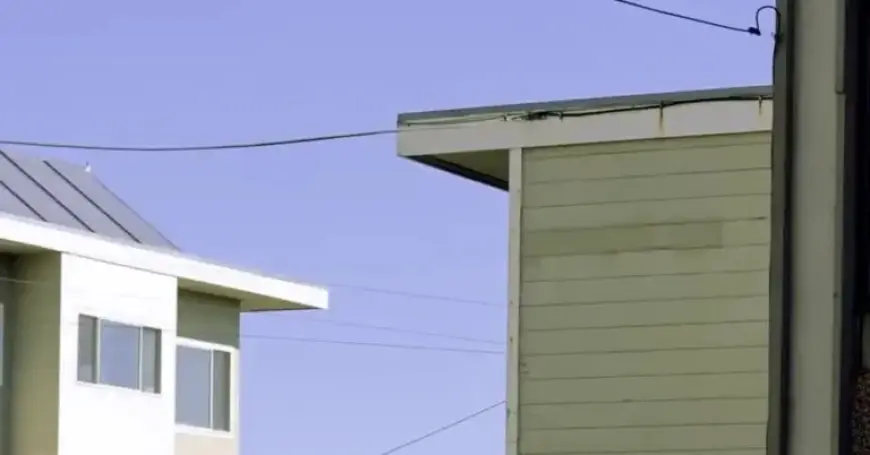 San Francisco Mayor Daniel Lurie Prioritizes Local Initiatives Over Trump Issues