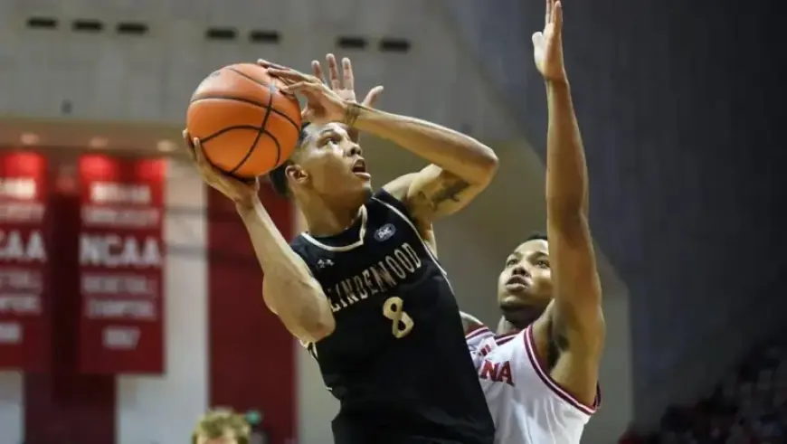 Lindenwood Lions vs. SIU-Edwardsville Cougars: Stream Info & TV Details – Feb 3