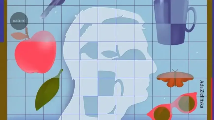 Exploring Mental Imagery: What’s Happening in the Brain?