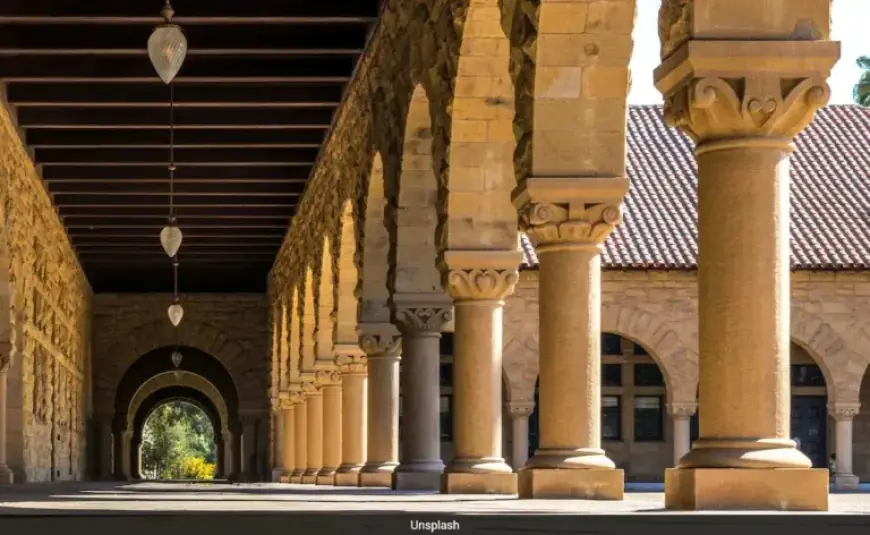 Stanford Dining Faces Backlash Over Beef and Meat Safety Concerns