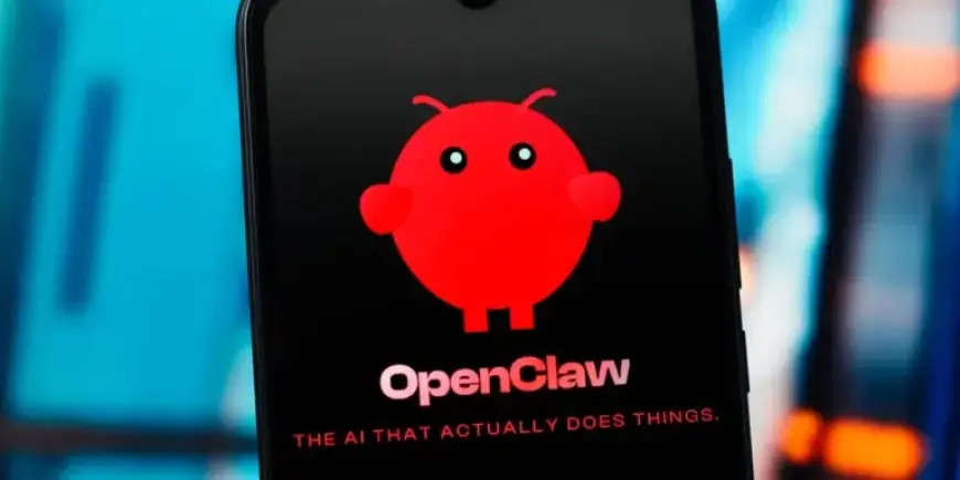 Clawdbot Creator Halts Vibe Coding for Mental Health Reasons