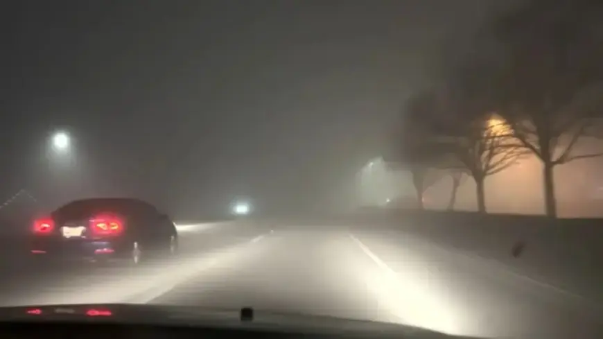 CHP, Driving Instructors Share Essential Tips for Safely Navigating Dense Fog