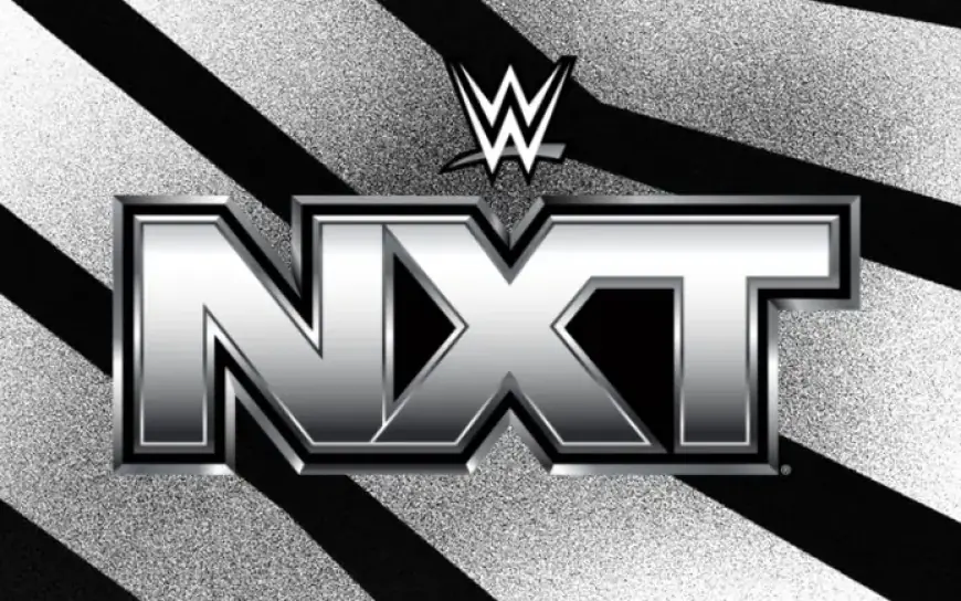 Ladder Match Headlines NXT TV Results: New Champions Crowned