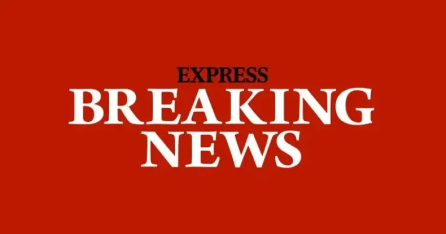 EastEnders Icon Elizabeth Kelly Dies After Stellar Four-Decade Career