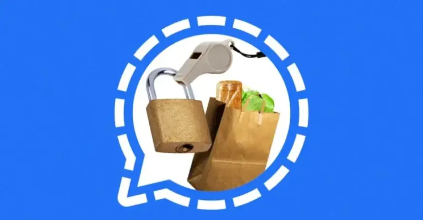 Master Signal Group Chats: A Community Organizer’s Essential Guide