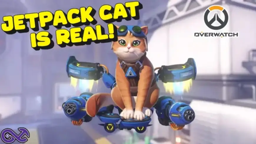 Overwatch Leak Reveals Jetpack Cat as Upcoming Hero!