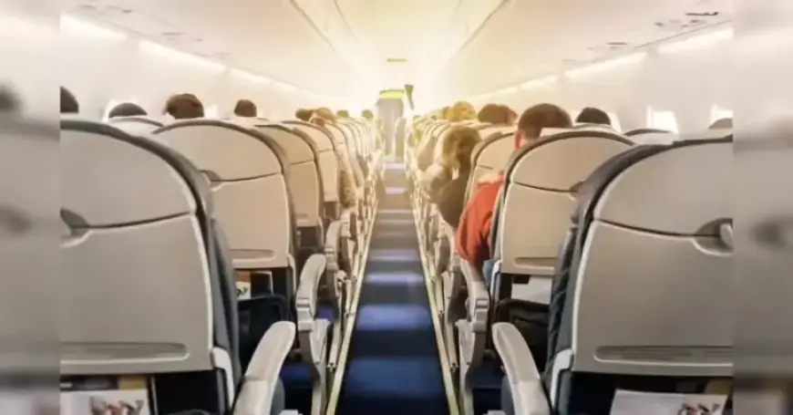 DGCA Data: Domestic Air Traffic Expands by 3% in 2025 Despite Turbulence