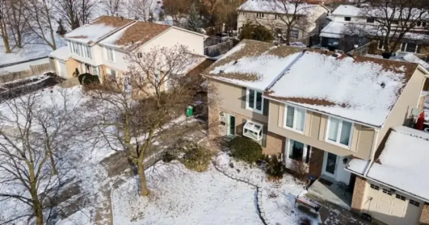 Ontario Real Estate Regulator Freezes Bank Accounts of Mississauga Brokerages