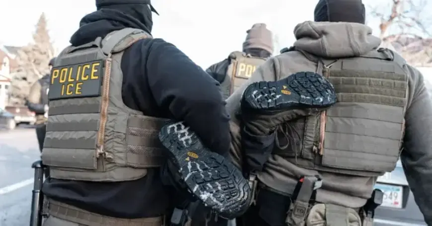 Prosecutor Dismissed for Expressing Frustration Over Immigration Caseload