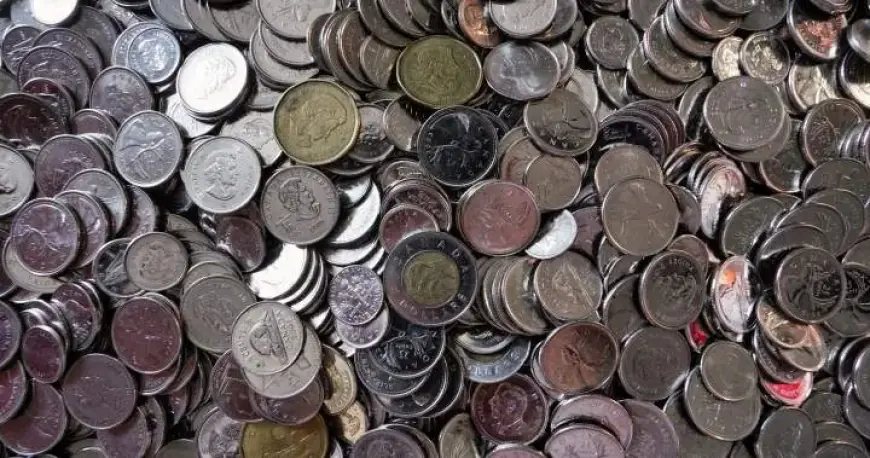 Advocacy Group Urges Action on Old Age Security Reform