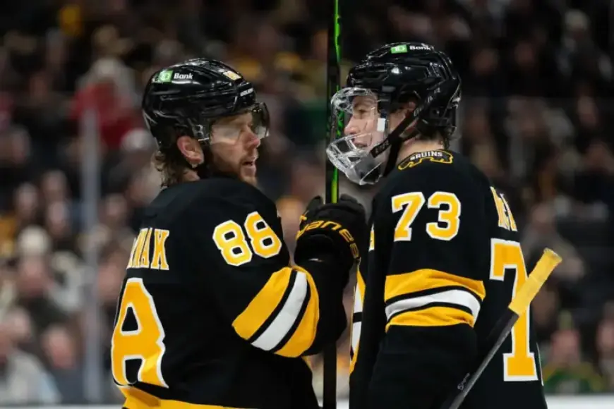 Are Bruins Primed for Playoff Success After Strong Season?