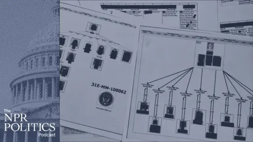 Insights from the Epstein Files: Key Takeaways from NPR Politics Podcast