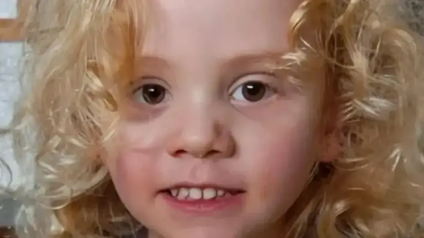 Police to Announce Significant Update in Gus Search