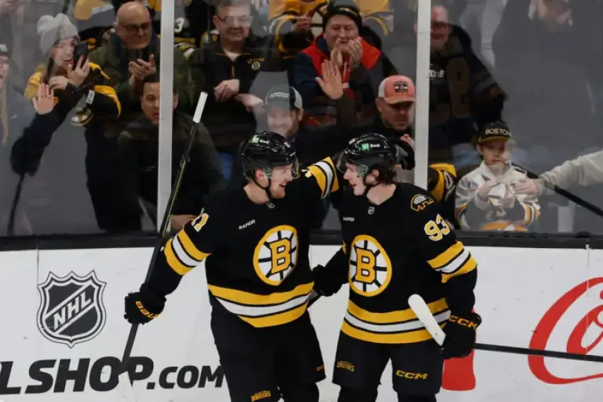 Boston Bruins Face Off Against Struggling Florida Panthers