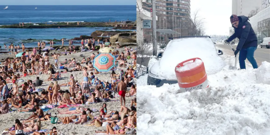 New Weather Pattern Alleviates Polar Vortex, Offers Brief Relief in Snowy East