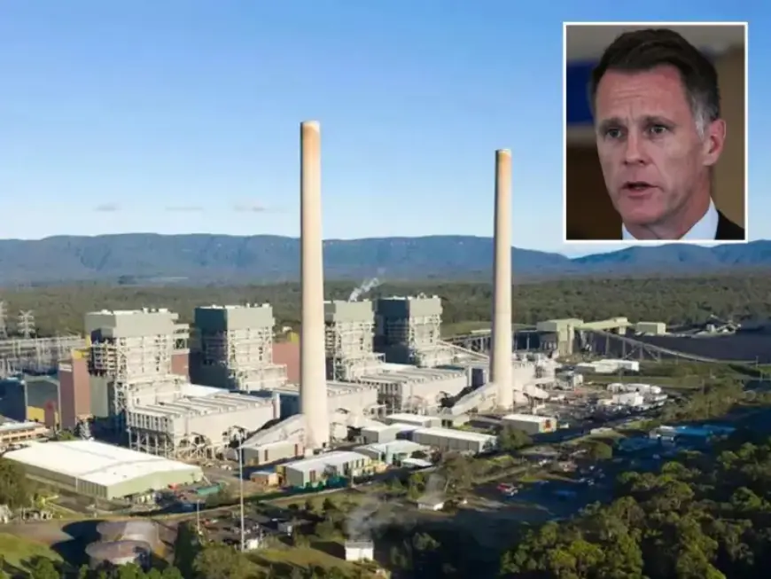 Eraring Coal Plant Deal Saves Taxpayers Without Spending a Dollar