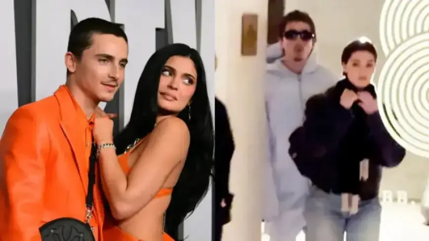 Timothee Chalamet Seen with Mystery Woman, Sparks Speculation