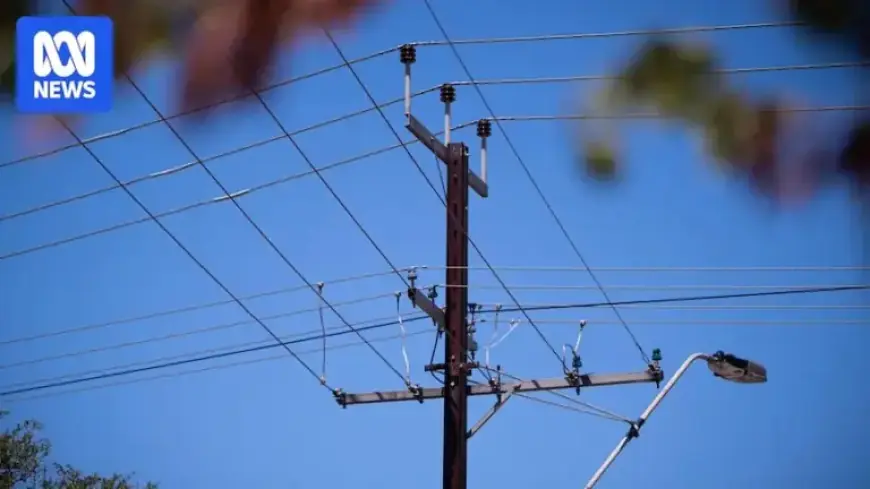 Summer Blackouts Loom Amid Dust Pollution from Persistent Drought