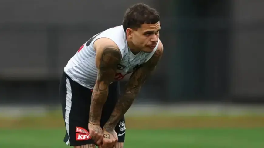 Pies Exclude Hill from 2026 Plans; Cats Target Star’s Return After Challenges