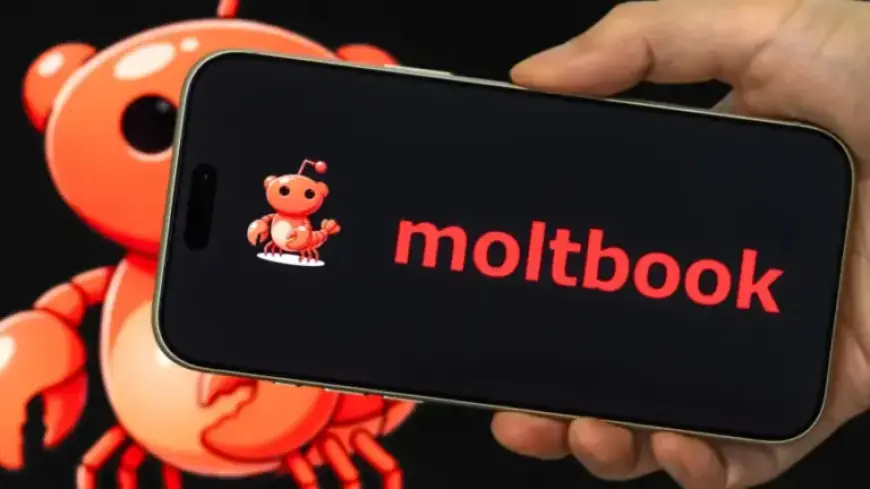 Exploring Moltbook: An AI-Exclusive Social Network Where Humans Feel Alienated