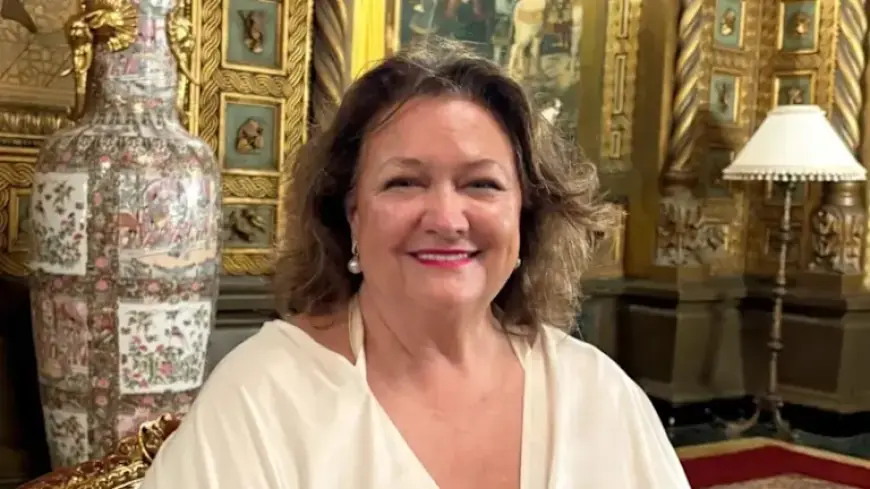Rinehart’s Neighbor Learns Legal Tactics in Billionaire Lawsuit
