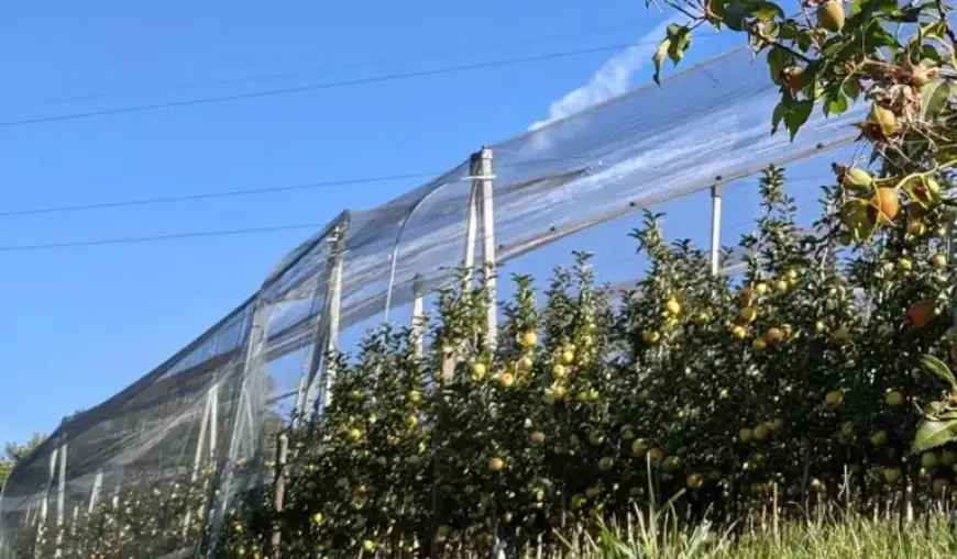 Youth Empowerment: Alto Adige Offers New Agriculture Settlement Grants