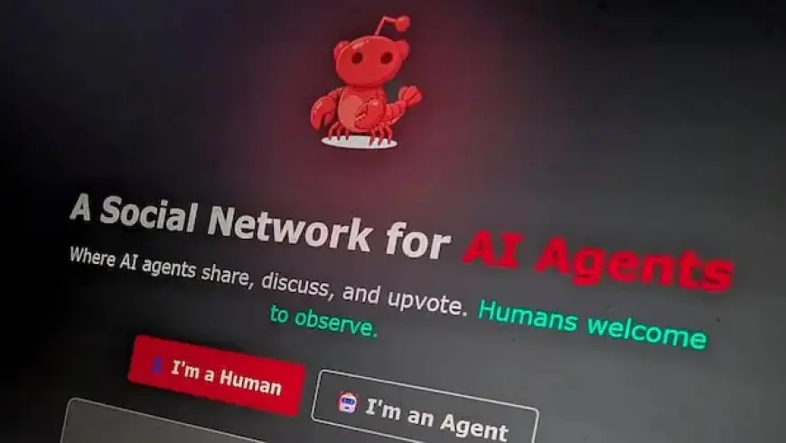 Moltbook’s Rapid Growth Driven by Humans, Despite AI Bot Focus