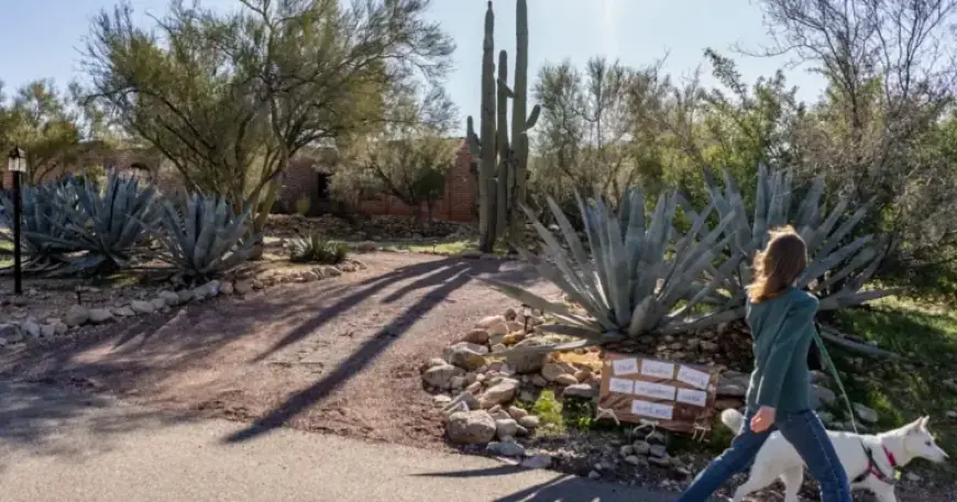 Timeline Unveiled: The Night Nancy Guthrie Vanished