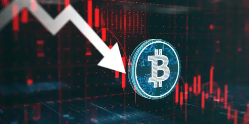 Strategy’s Plummeting Stock Challenges ‘Hold Your Bitcoin’ Policy