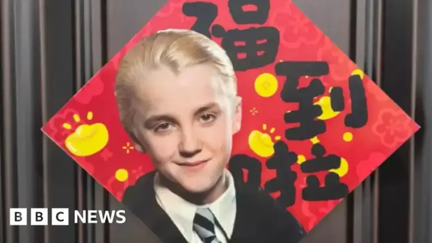 Draco Malfoy Emerges as Unlikely Lunar New Year Icon in China